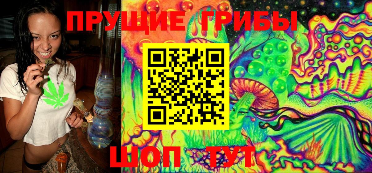 Шали  Псилоцибиновые грибы MAGIC MUSHROOMS  Вход с VPN  Галлюциногенные грибы Psilocybine cubensis 