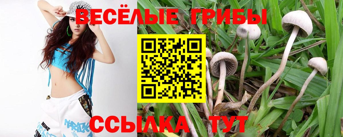 Псилоцибиновые грибы мухоморы Шали
